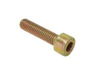 Schraube M5 x 20mm