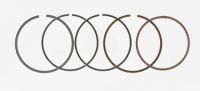 Segments Malossi 40mm