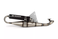 Auspuff Tecnigas RS PGO Big Max Auspuff Tecnigas RS PGO Big Max