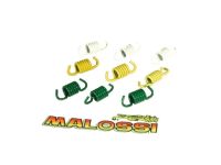 Kupplungsfedern Malossi für Originalkupplung Malaguti,Aprilia, Derbi/Honda/Italjet Kupplungsfedern Malossi für Originalkupplung Malaguti,Aprilia, Derbi/Honda/Italjet