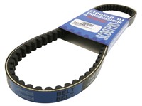 Courroie Speed belt Polini Bali/SFX/Looxor/Zenith