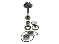 Kit de révision de pompe à eau, scooter Piaggio Beverly 250cc 04/05 Kit de révision de pompe à eau, scooter Piaggio Beverly 250cc 04/05