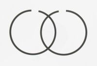 Segments Polini 38.4mm