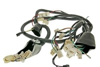 Faisceau électrique GY6, Jinlun Fighter 50 Faisceau électrique GY6, Jinlun Fighter 50