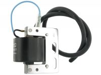 Bobine d'allumage Stage6 RT (pour rotor interne), tous modèles Bobine d'allumage Stage6 RT (pour rotor interne), tous modèles
