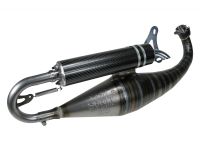 Echappement/Pot Stage6 RT BIG BORE 95cc Minarelli horizontal Echappement/Pot Stage6 RT BIG BORE 95cc Minarelli horizontal