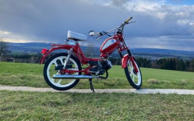 Pony-Töfflis aus Feuerthalen
