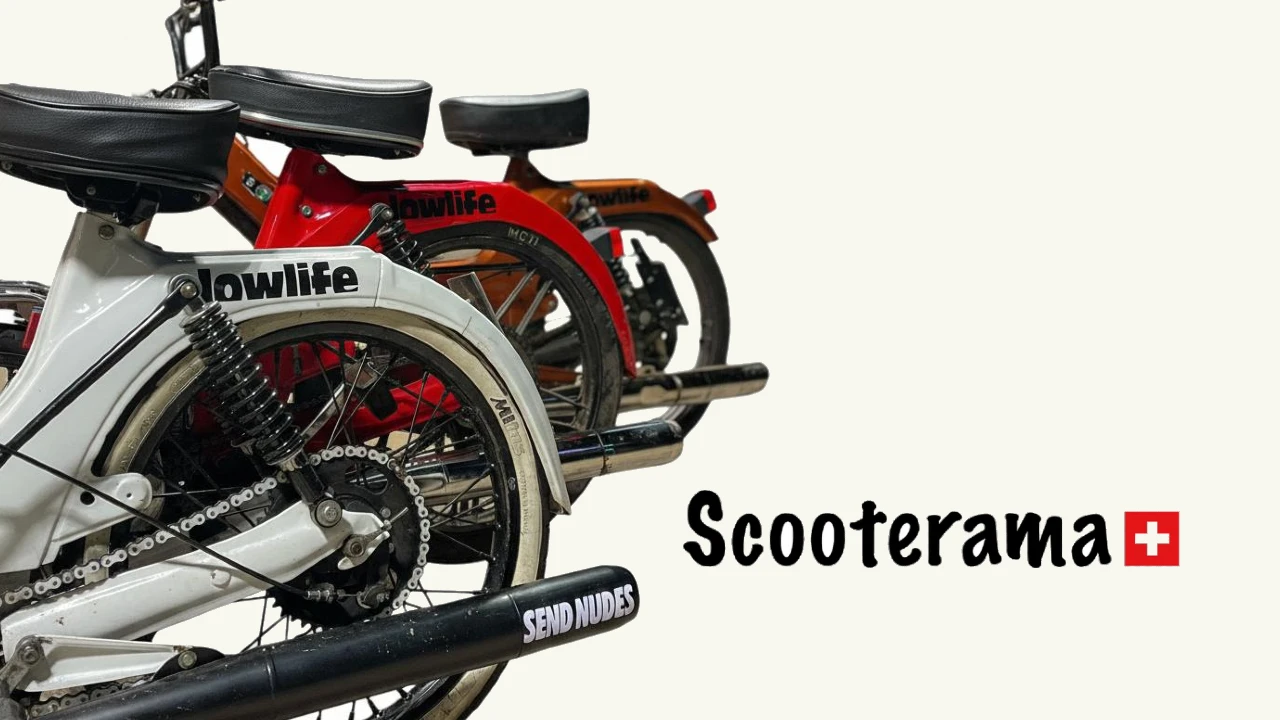 Sendet Bilder ein – Fotogalerie